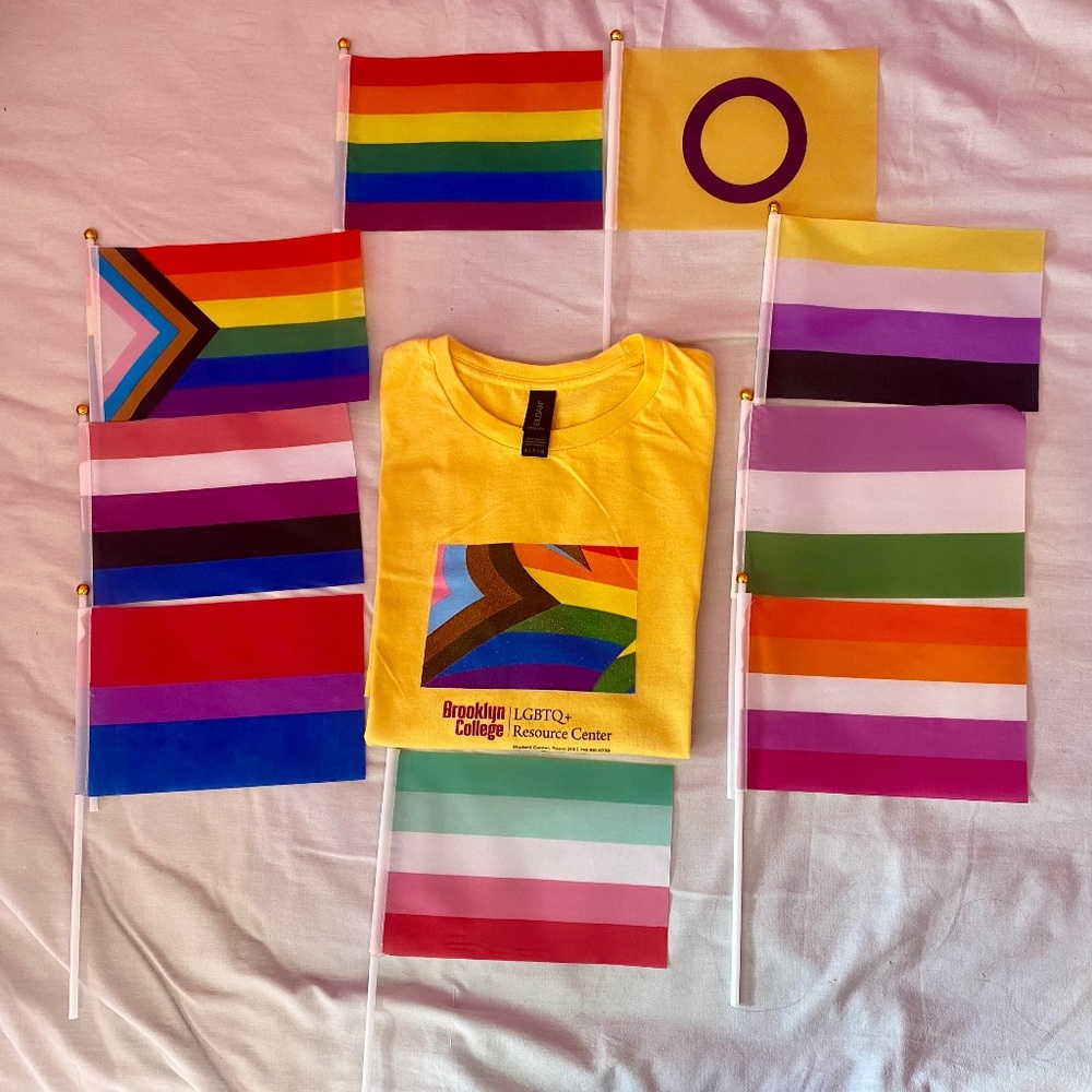 LGBTQ+ T-Shirt (Small) + 9 Pride Flags Bundle